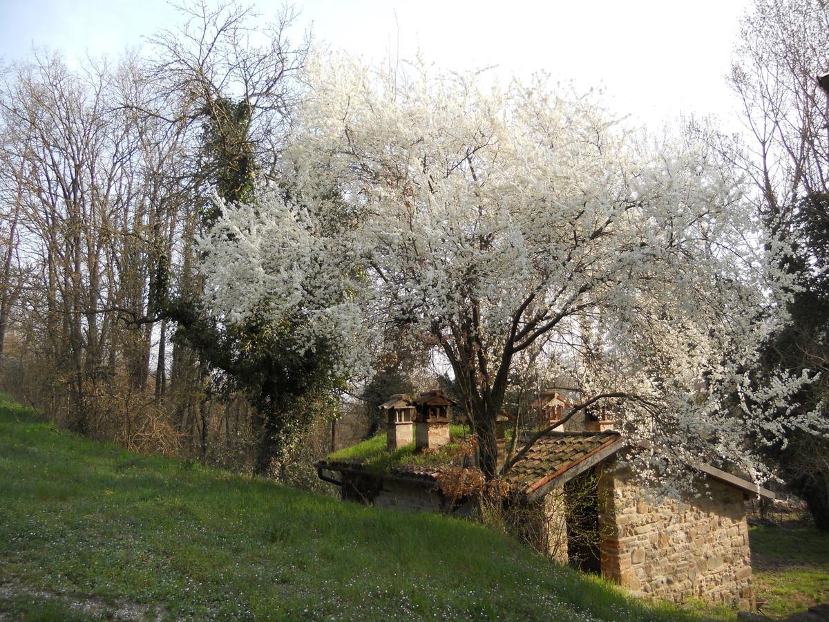 La Cartiera Dei Benandanti Villa Monghidoro Buitenkant foto