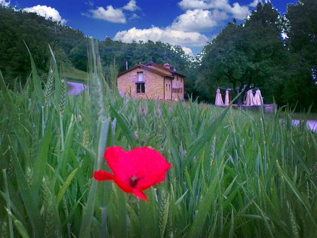 La Cartiera Dei Benandanti Villa Monghidoro Buitenkant foto
