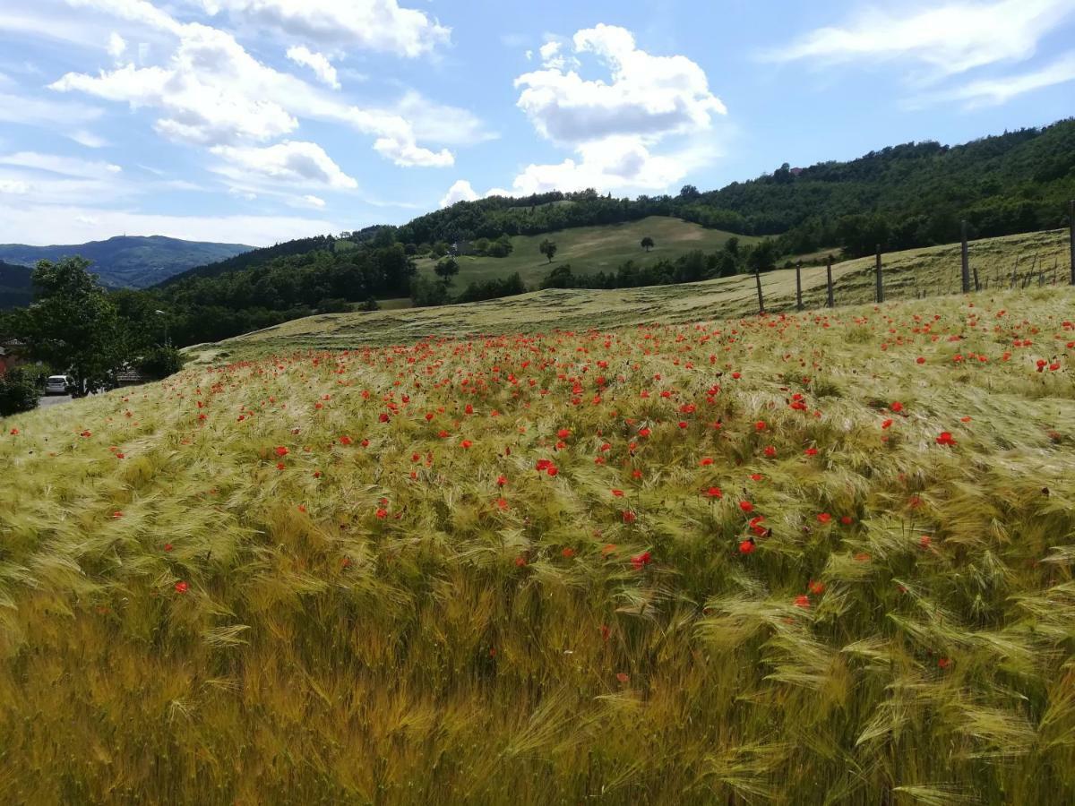 La Cartiera Dei Benandanti Villa Monghidoro Buitenkant foto