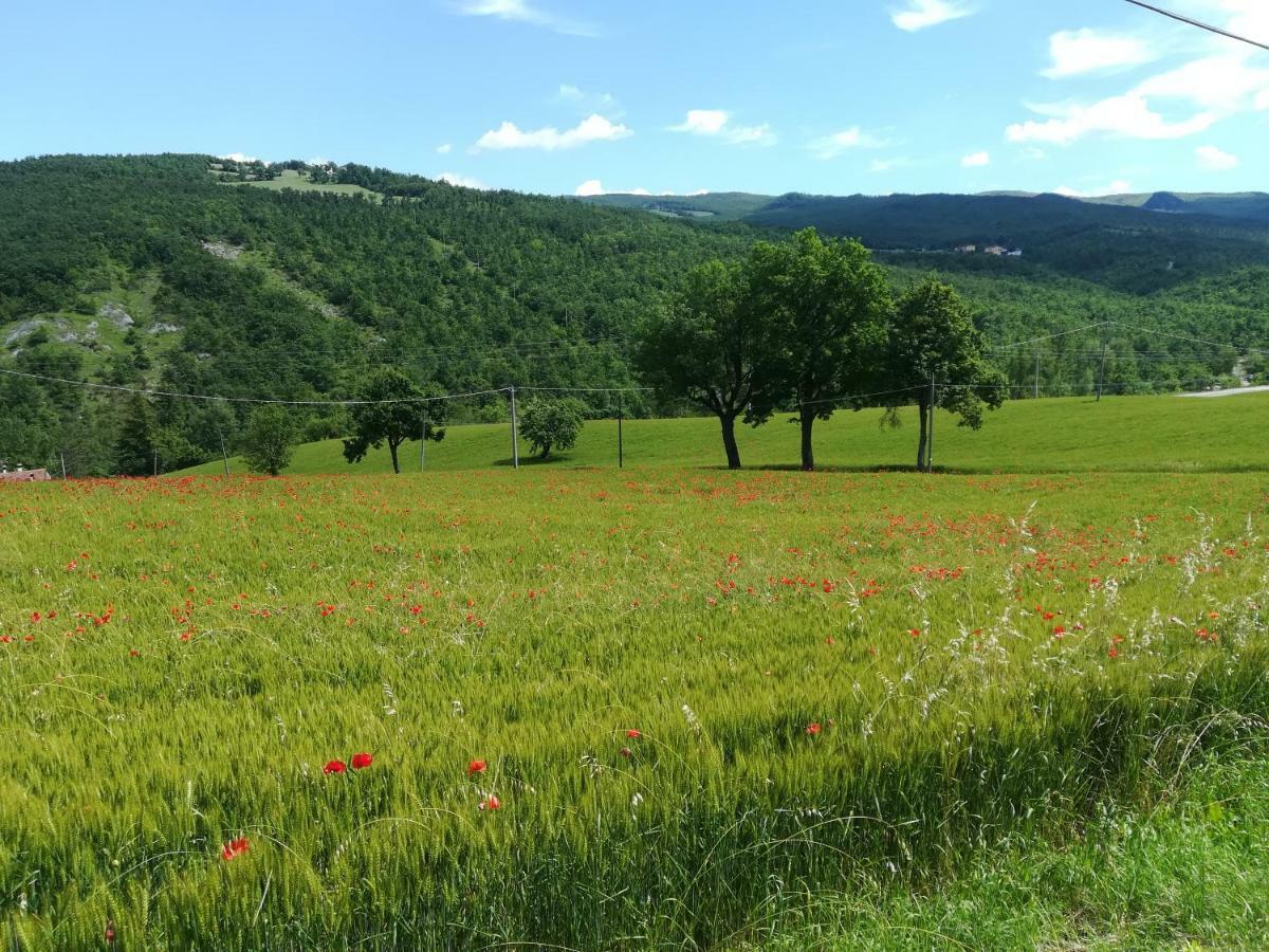 La Cartiera Dei Benandanti Villa Monghidoro Buitenkant foto
