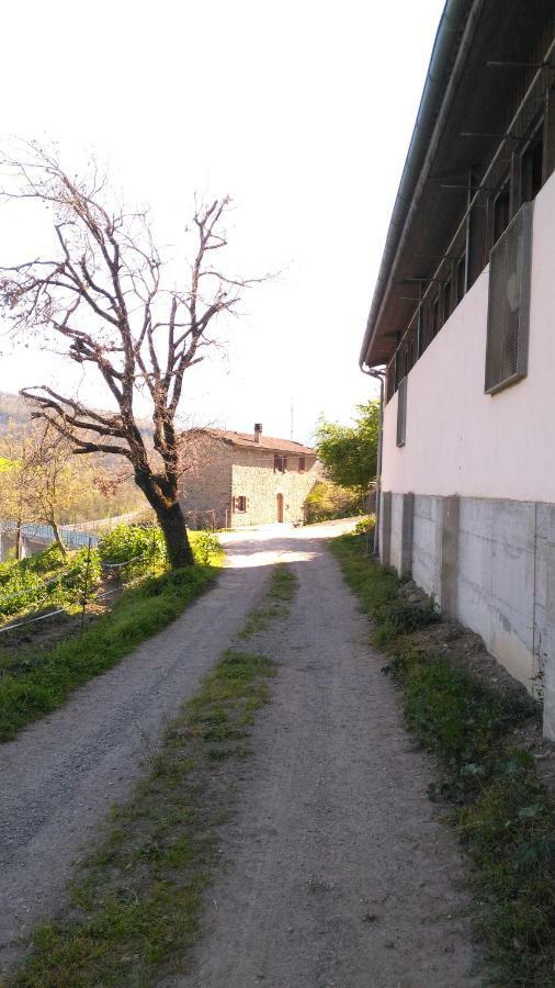 La Cartiera Dei Benandanti Villa Monghidoro Buitenkant foto
