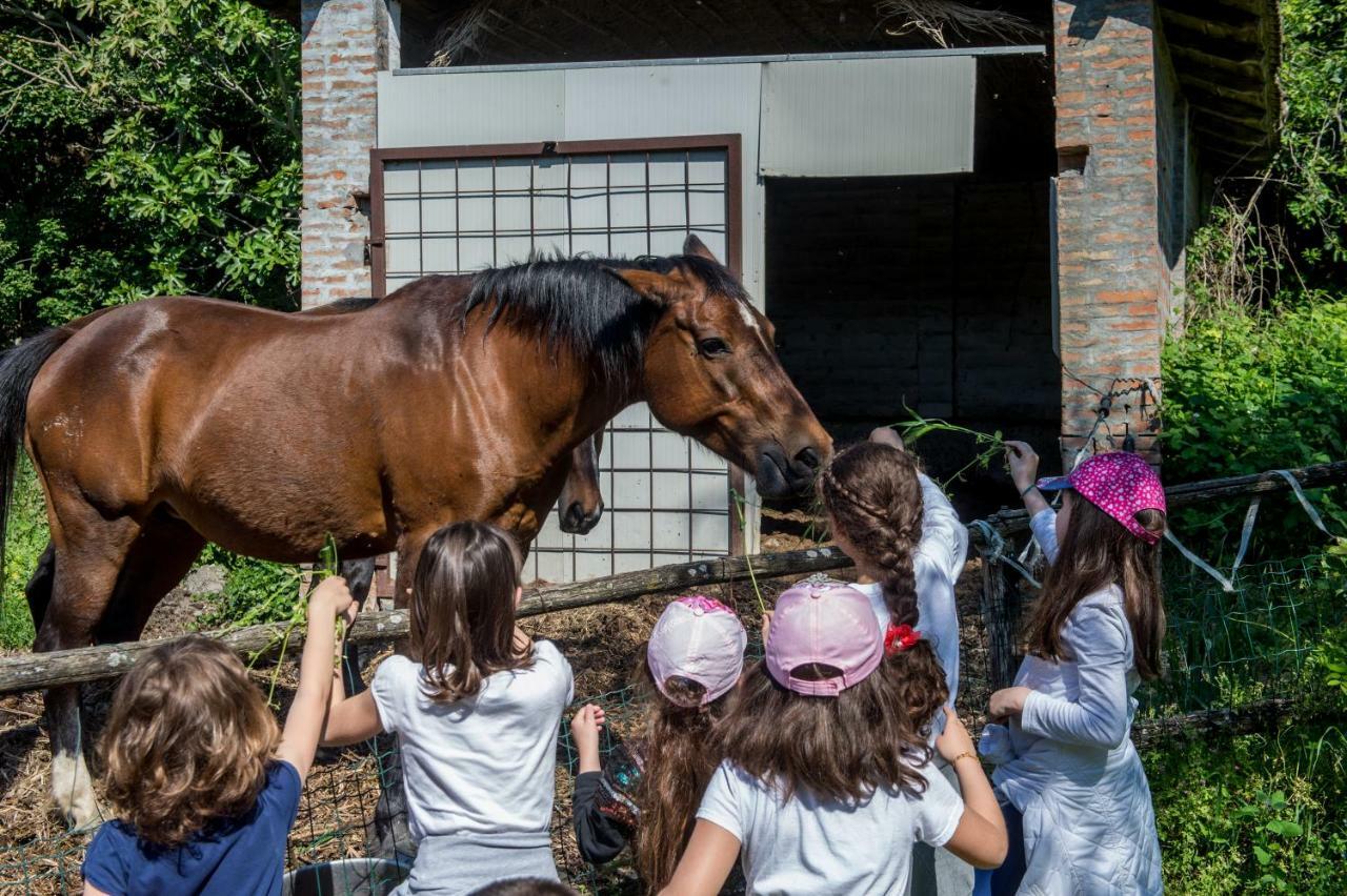 La Cartiera Dei Benandanti Villa Monghidoro Buitenkant foto