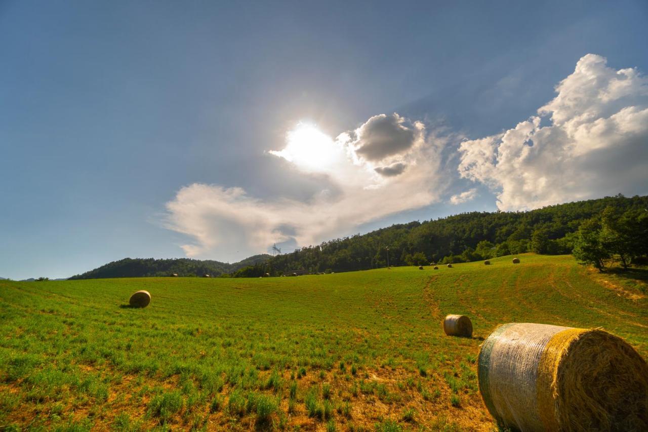 La Cartiera Dei Benandanti Villa Monghidoro Buitenkant foto